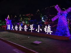 -大塘金香草谷