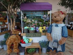 iphone_upload_pic-济州岛泰迪熊博物馆