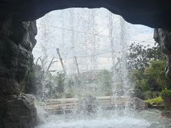 -新加坡飞禽公园