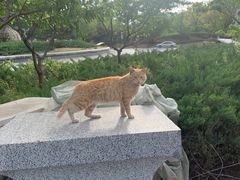 -天津盘山风景名胜区