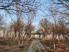 -西青郊野公园
