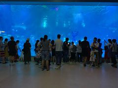 -福州罗源湾海洋世界旅游区