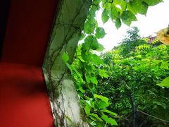 -深圳大旅小舍精品艺术民宿