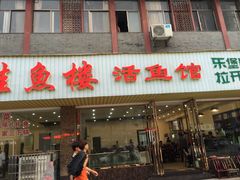 -岩泊渡桂鱼楼活鱼馆