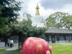 -护国法轮寺
