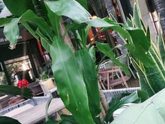 -音乐房子(鎏嘉码头店)