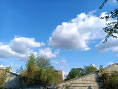 -肖肖酸萝卜鱼火锅(总店)