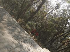 -紫金山山顶公园
