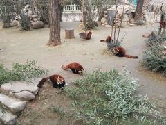 -西安秦岭野生动物园