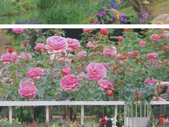 -人民公园(罗湖区)