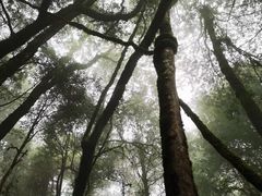-仁和昌商号