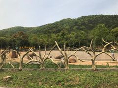-太湖龙之梦