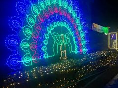 -广州花之恋城堡酒店