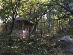-沂蒙山旅游区云蒙景区(蒙山国家森林公园)