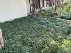 -秋霞圃