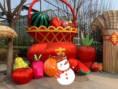 -南宫五洲植物乐园