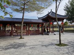 -聚龙山公园