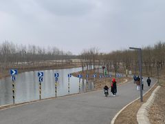 -东郊湿地公园