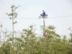 -兰陵国家农业公园