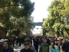 -溱湖国家湿地公园