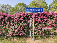 -武汉紫薇都市田园