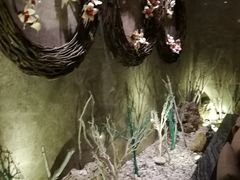 -大桶水·全国旗舰店(体育路店)