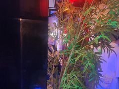 -庭院江南菜•烤鸭•非遗传承(丰台总部基地店)