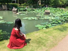 -乌村