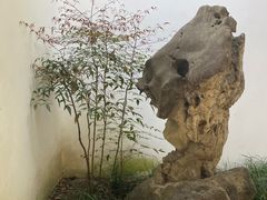 -秋霞圃