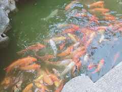 -檀园