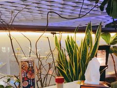 -润园四季椰子鸡火锅(海上世界店)