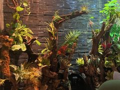 -泰适SPA馆丨精油·按摩·足道(后海地铁口店)