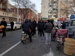-宝鸡东道花鸟鱼虫市场(吉利花园商场店)