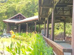 -融水老君洞景区