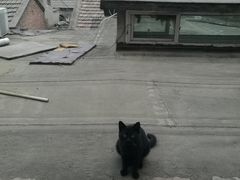 -南宫温泉水世界