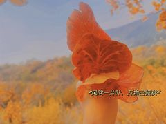 -香山公园