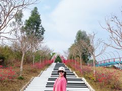 -盈香心动乐园