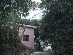 -彩虹桥宠物火化殡葬善终服务(金乐大厦店)