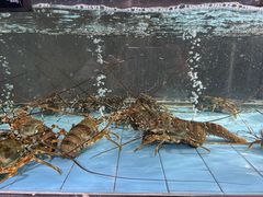 -曼格纳·曼芯馆(杨浦店)