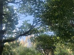 -白鹭湾湿地公园