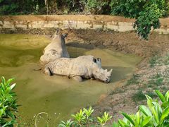 -泉州海丝野生动物世界
