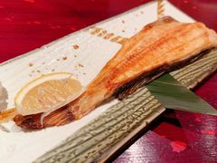 进口六线鱼-九州酒场ひこぞう(1号店)