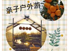 -前小桔亲子创意农场·草莓采摘·露营烧烤