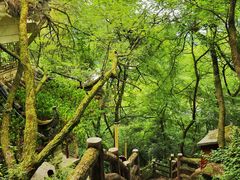 -綦江古剑山