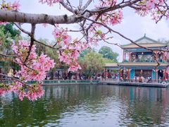-宝墨园景区