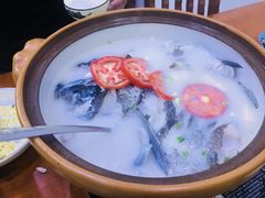 -全乐鱼馆·淳牌有机鱼直营店
