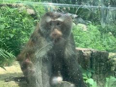 -黔灵山公园