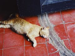 -柬埔寨国家博物馆