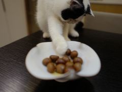 -阿男野栗王(金门路店)