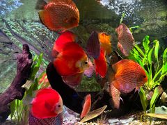 -上海海洋水族馆